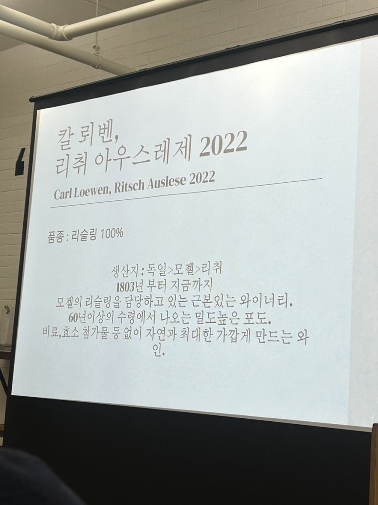 비비우 이미지