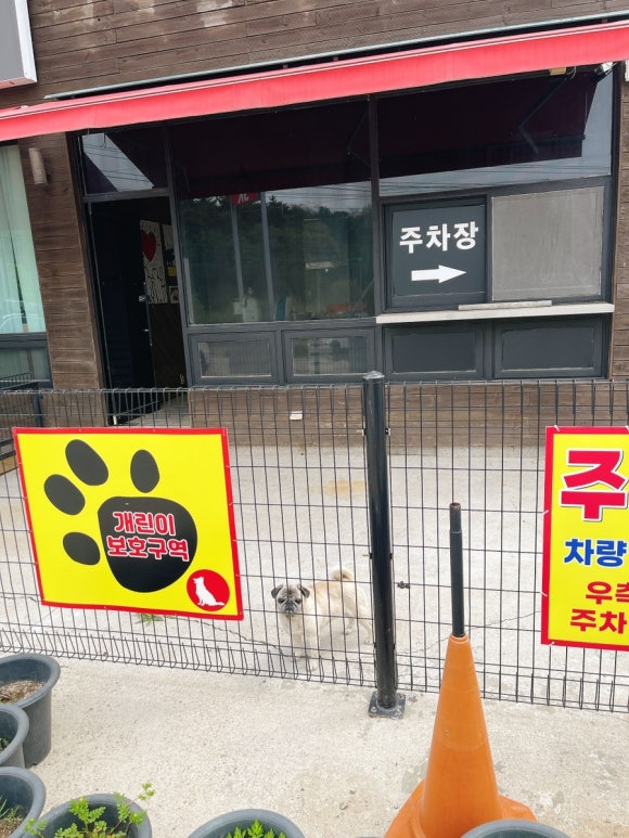 진실한짬뽕집 이미지