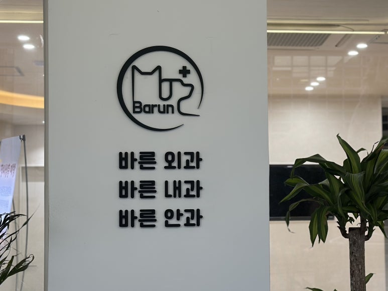 서초바른내과 이미지