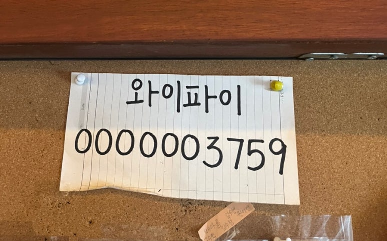 카츠텐 이미지