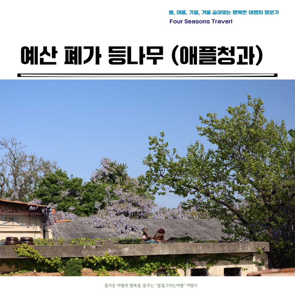예산청과 이미지