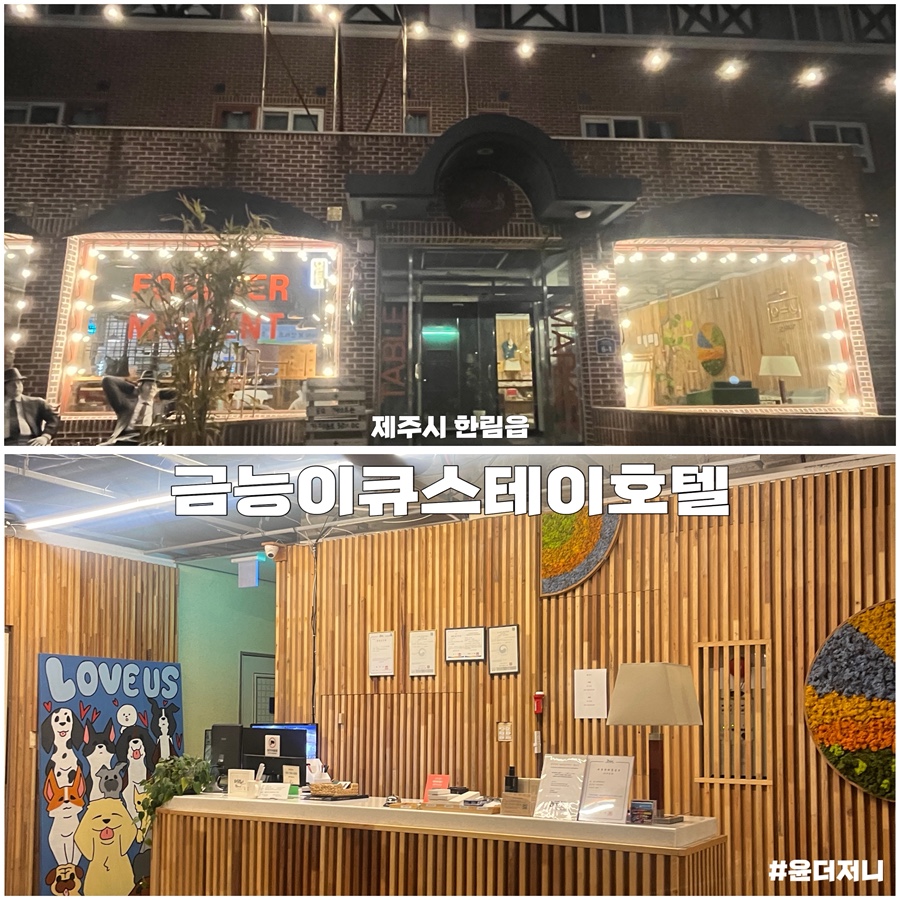 이큐스테이 이미지