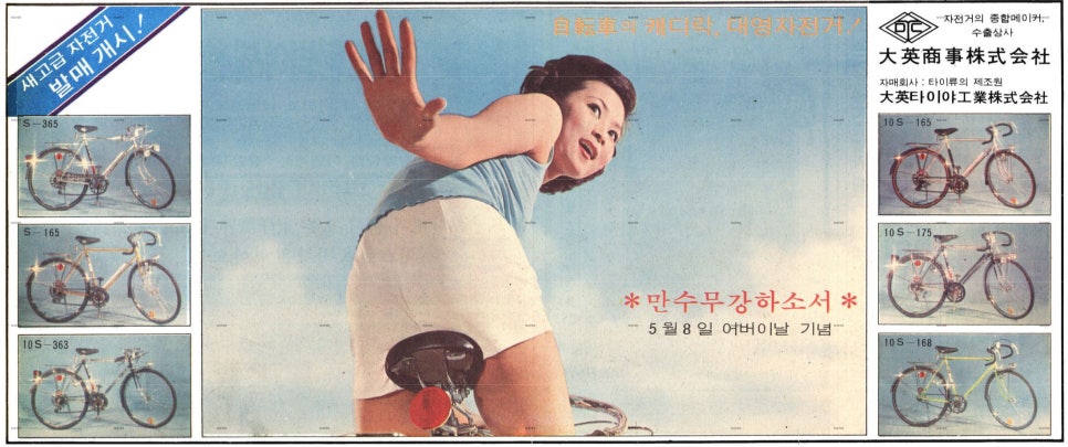 대영자전거 이미지