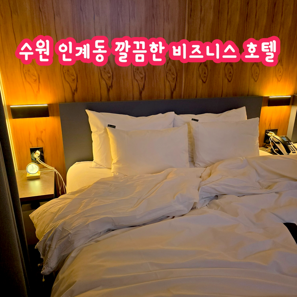 달싸롱 이미지