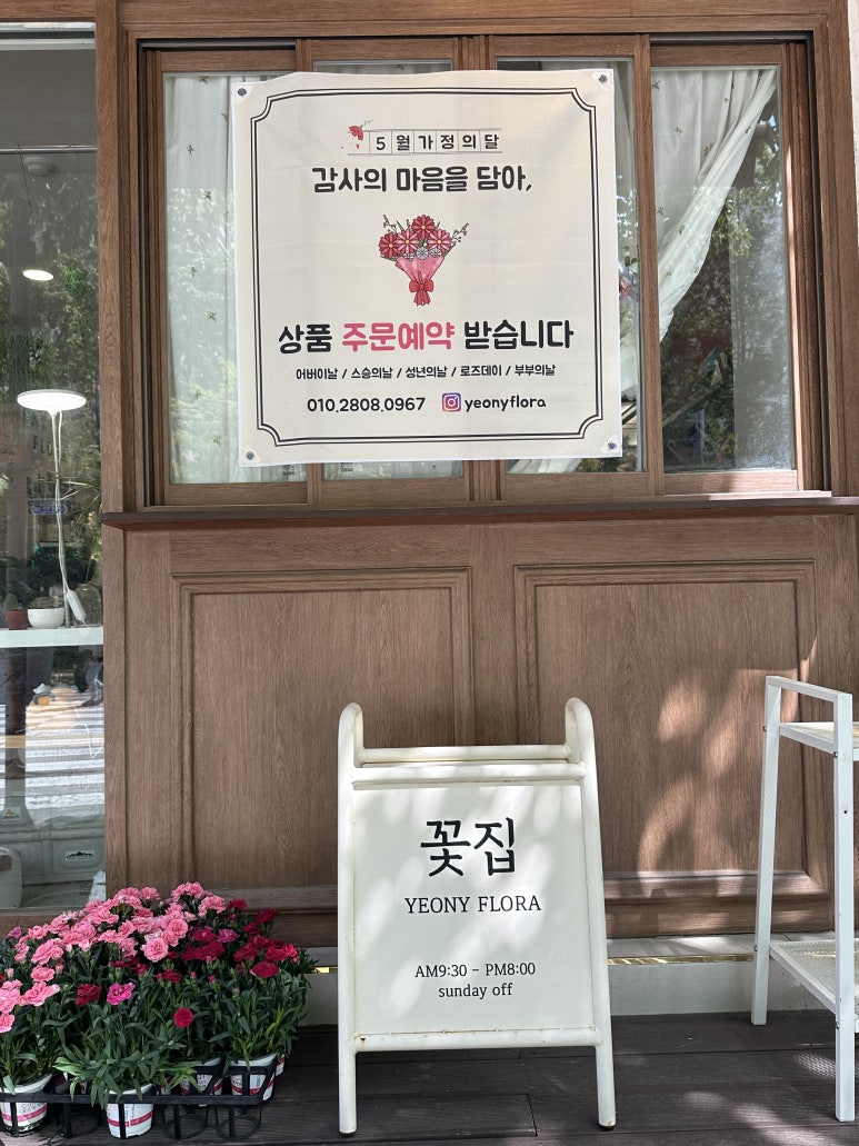 여니플로라 이미지