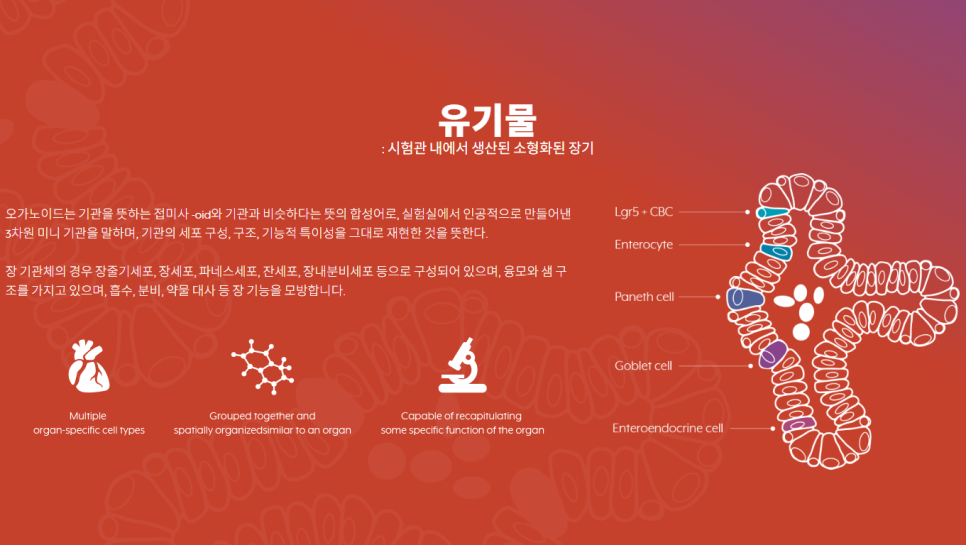 평화산업가스 이미지