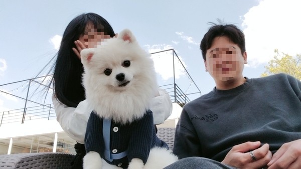 남예천농협 하나로마트 이미지