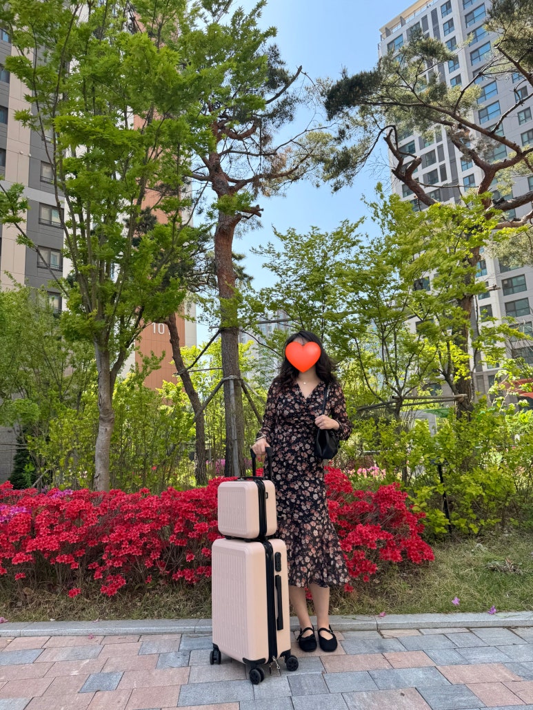 정직한이웃 이미지