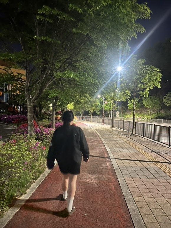 송이집 이미지