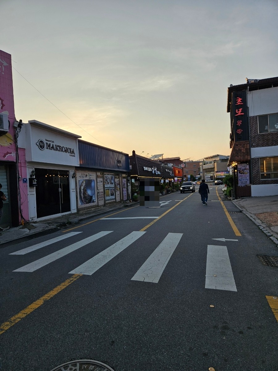 차밥나무 이미지