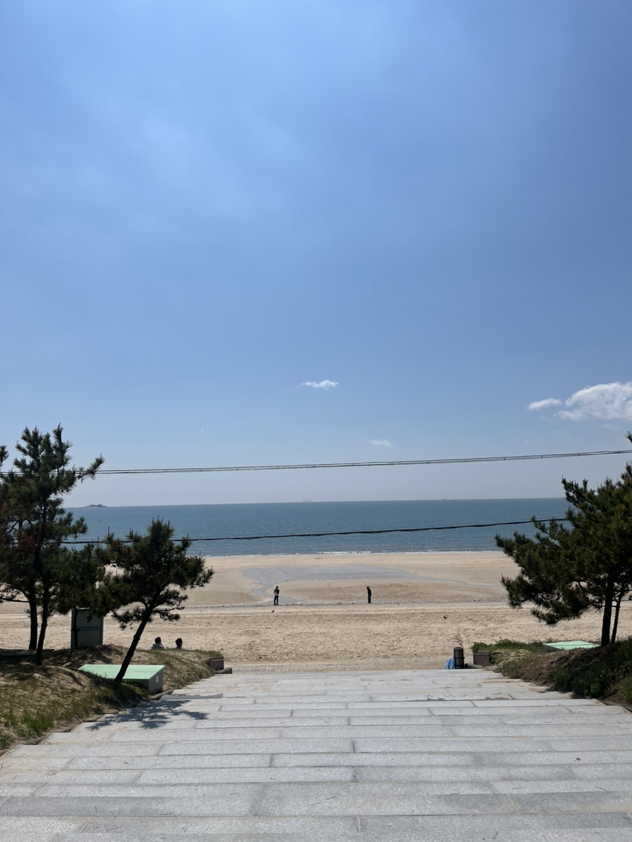 노성반점 이미지