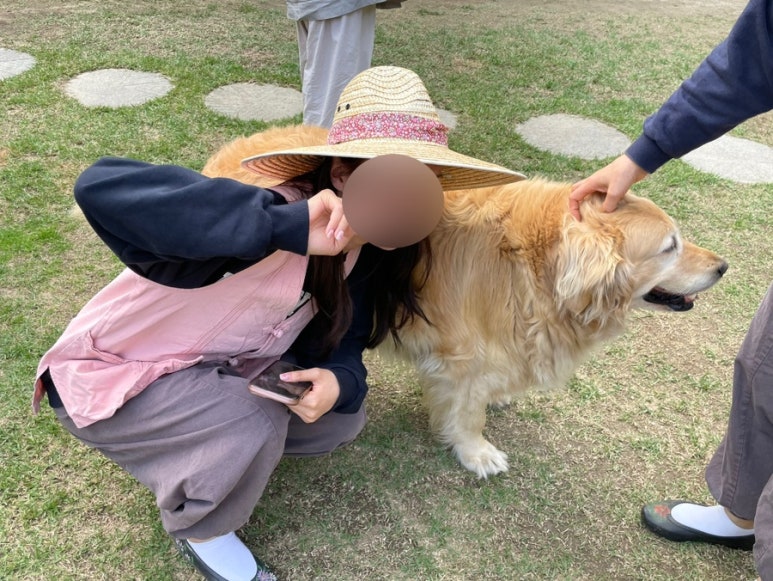 몽돌인테리어 이미지