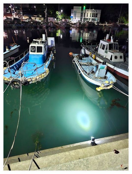 명동장 이미지
