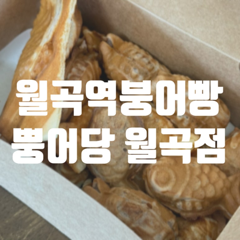 뿡어당 이미지
