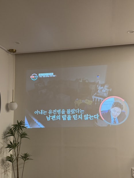 소소링제주2 이미지
