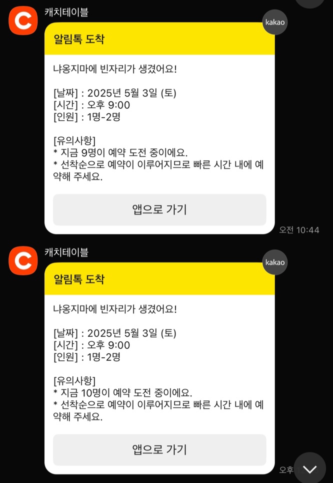 냐옹지마 이미지