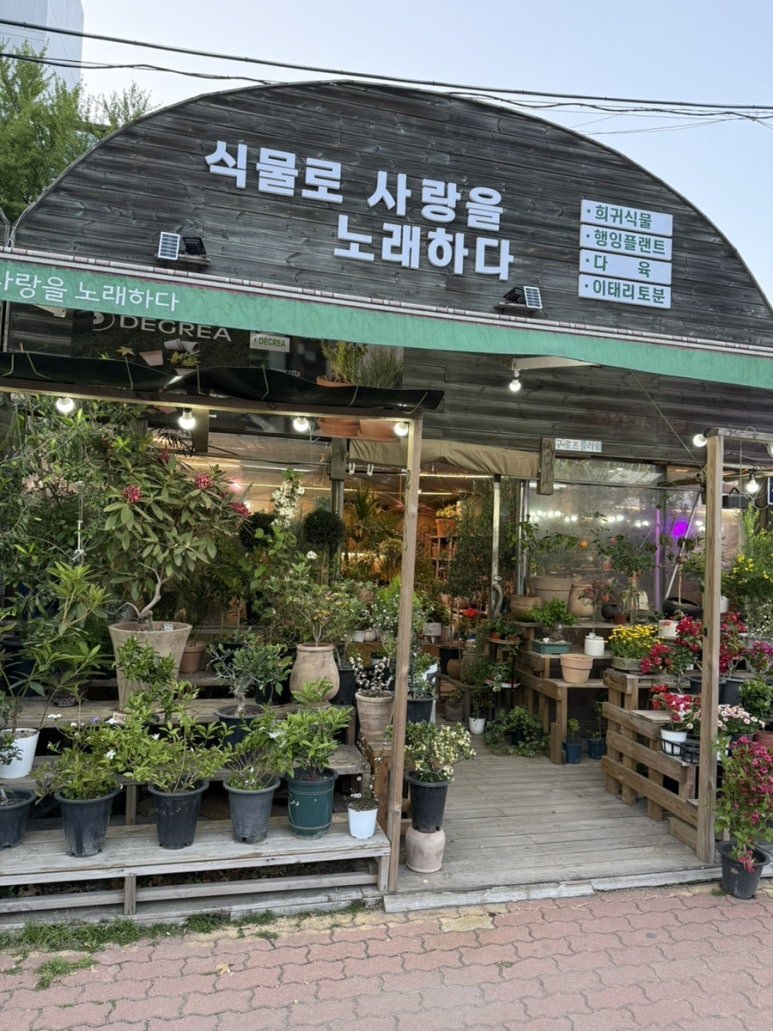 식물로사랑을노래하다 이미지