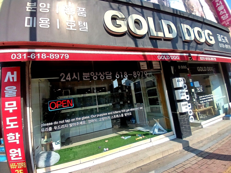 서울무도학원 이미지