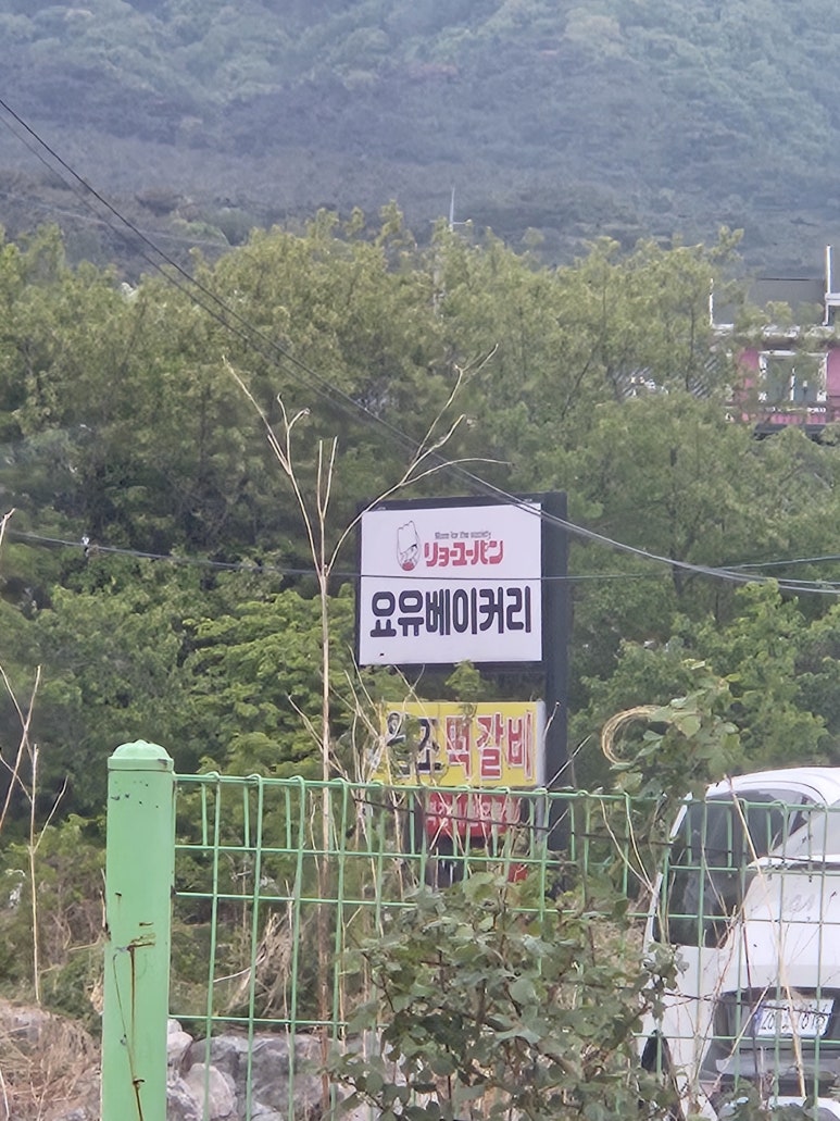 요유 이미지