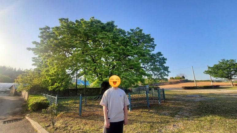 청동원 이미지