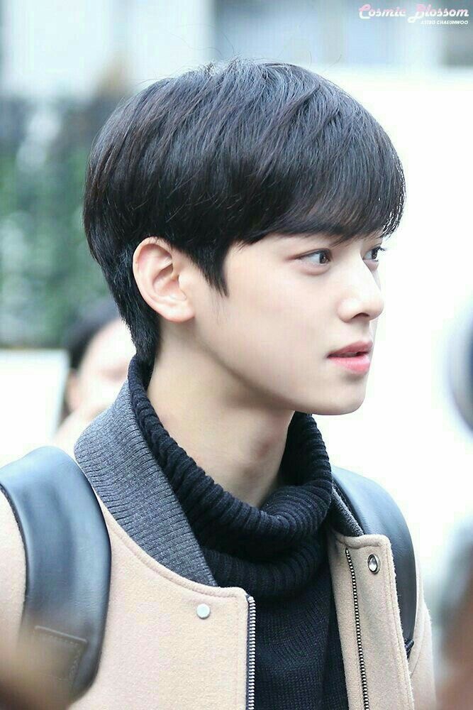 오디크 이미지