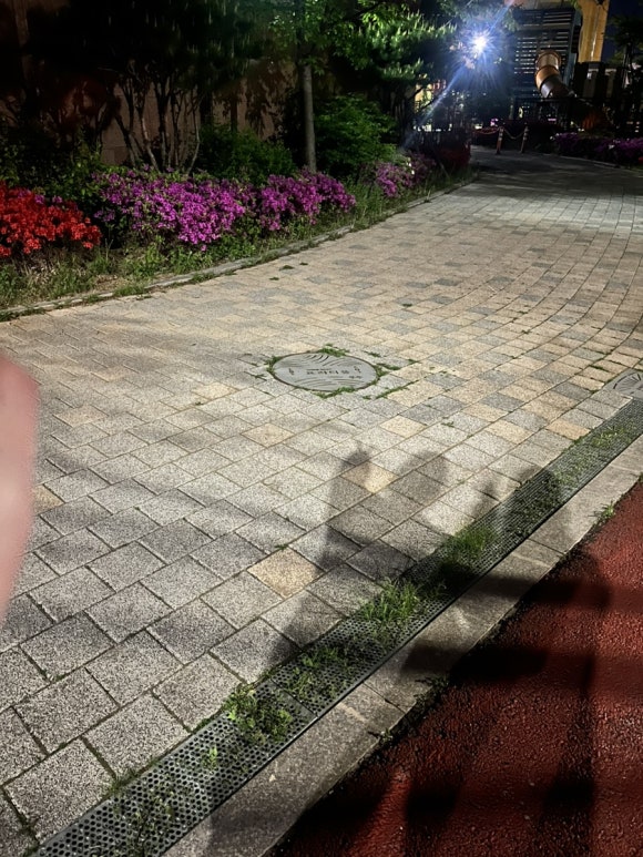 송이집 이미지