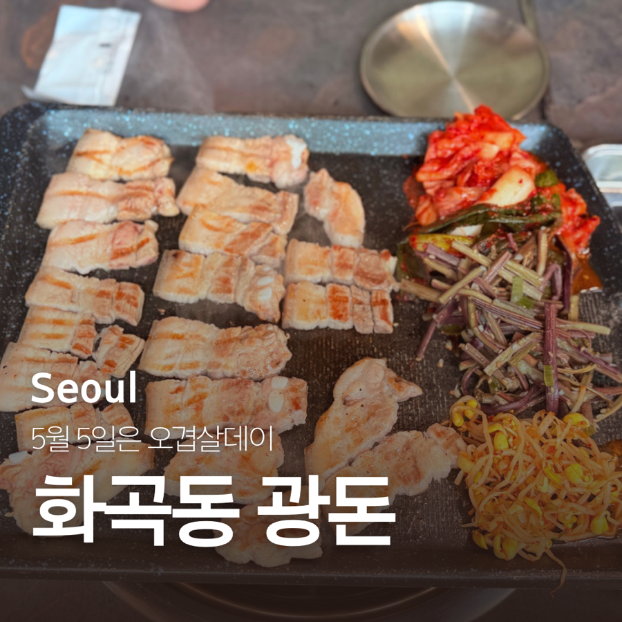 광돈 이미지