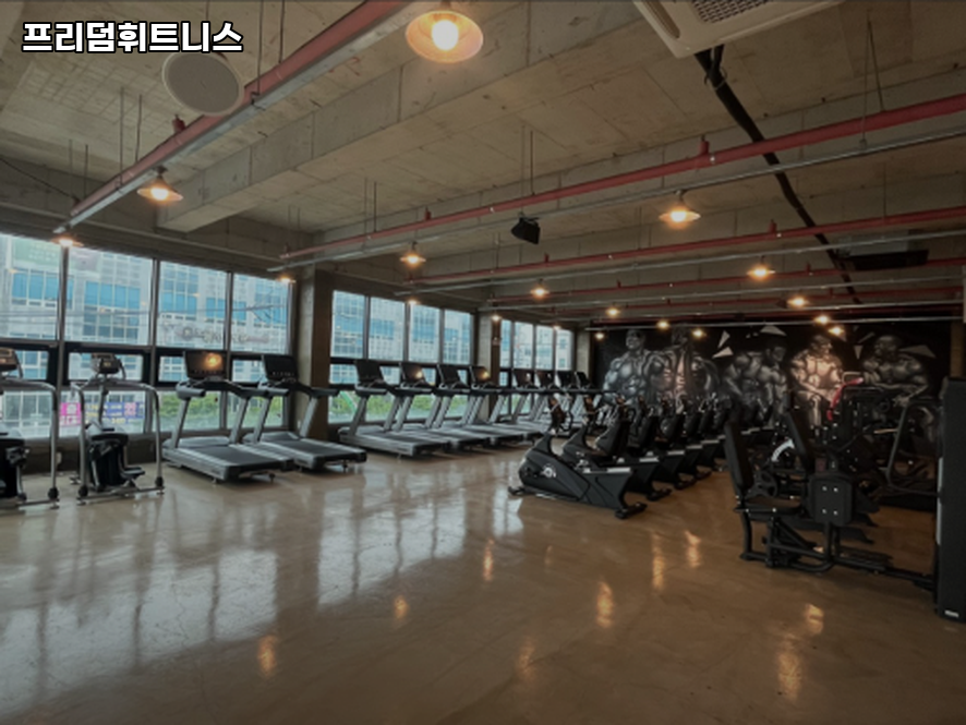 프리덤휘트니스 이미지