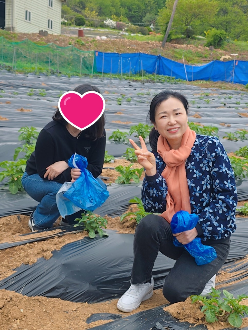 대명행정사 이미지