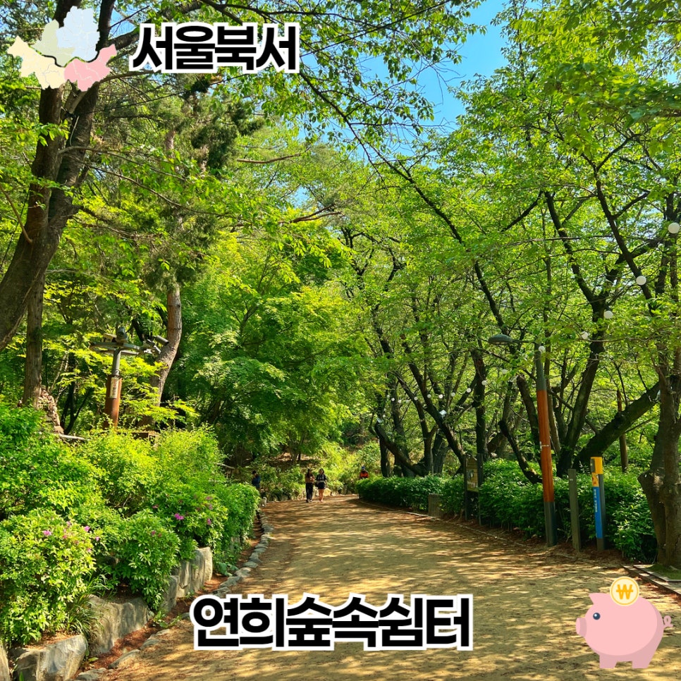 숲속 이미지