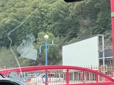 장흥 자동차극장 2관 이미지