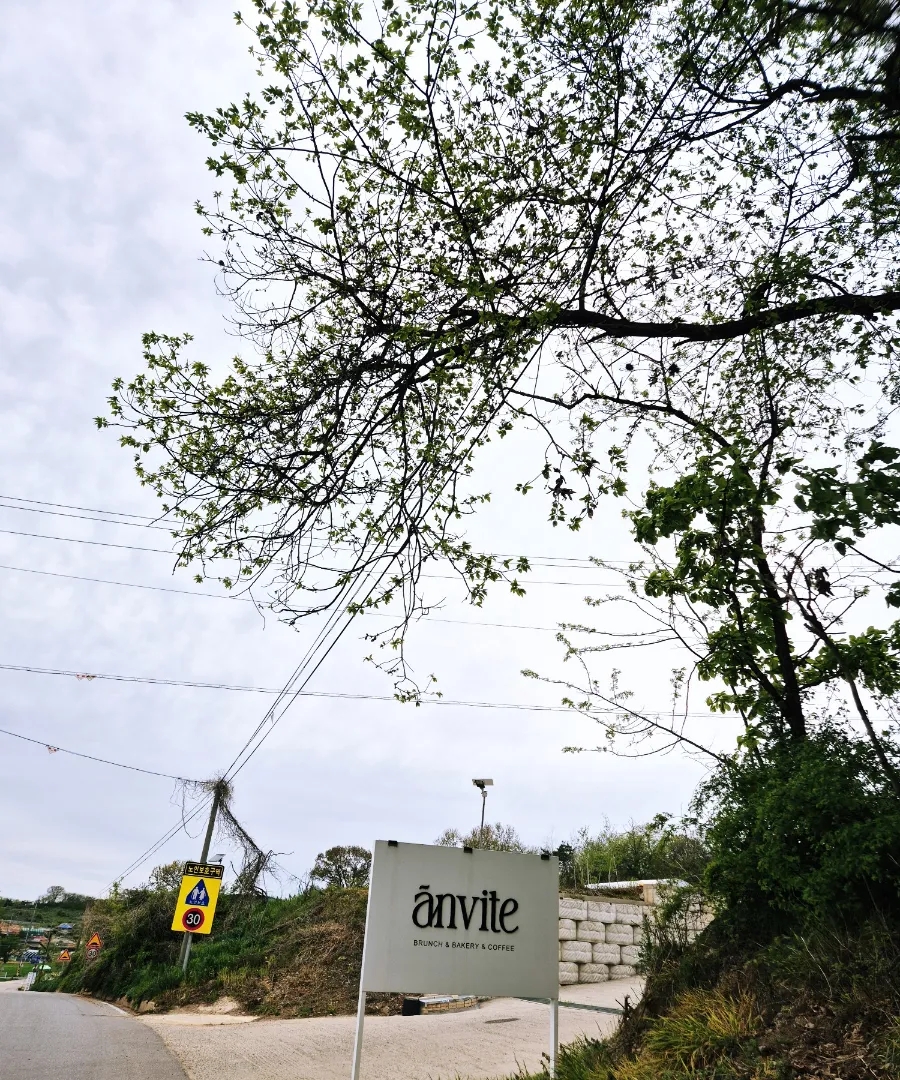 앙비떼카페 이미지