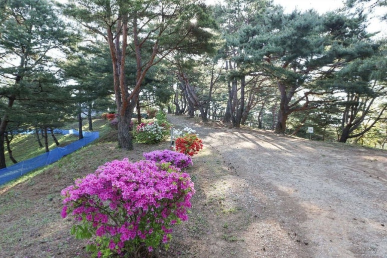 은혜열쇠 이미지