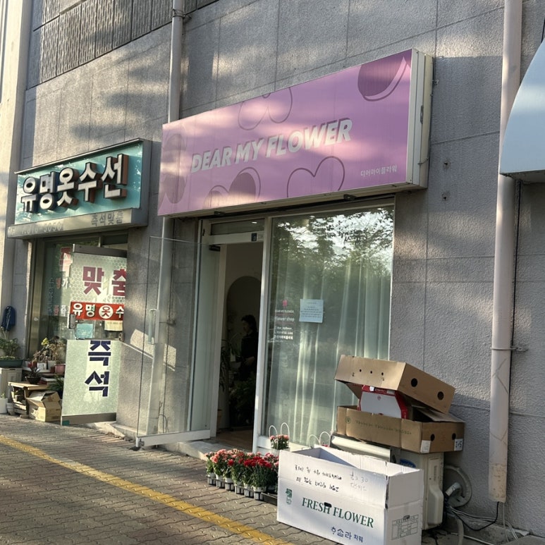 디어마이플라워 이미지