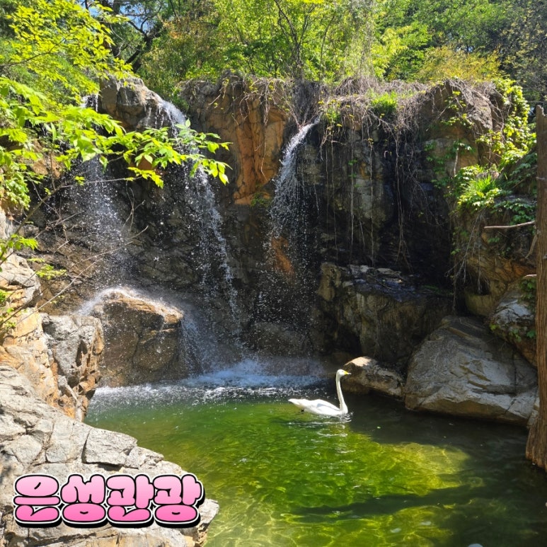 은성패키지 이미지