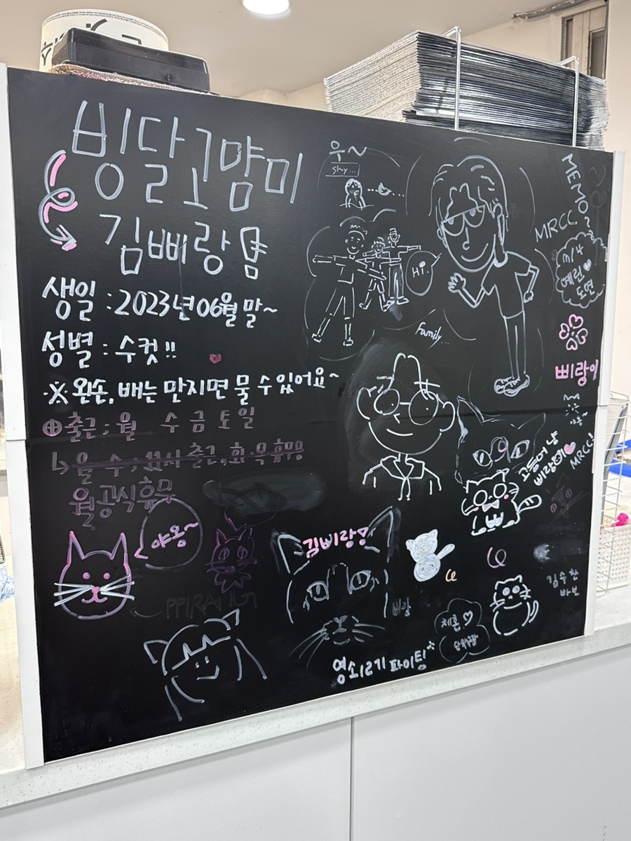 빙달 대학로점 이미지
