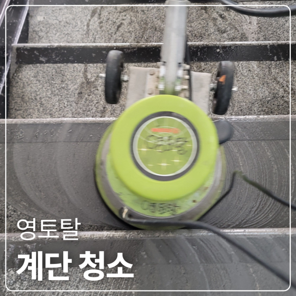 영토탈 이미지
