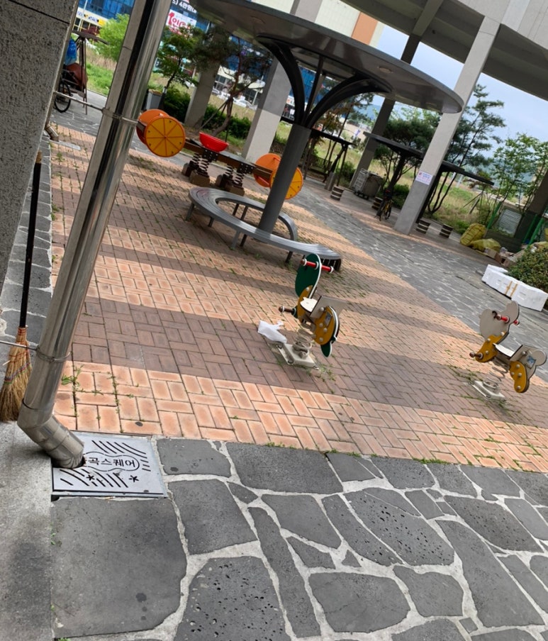 신촌새나리 이미지