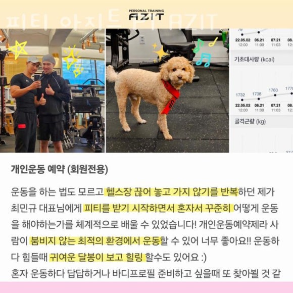 아지트피티 이미지