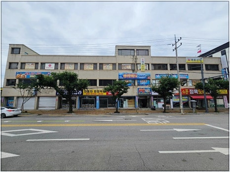 덴트칼라 이미지