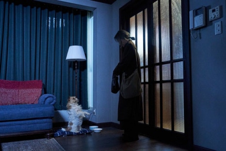 이십오도 이미지