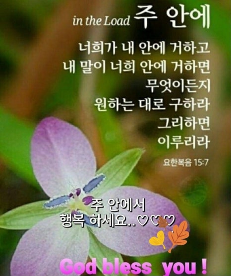 대지의축복 이미지