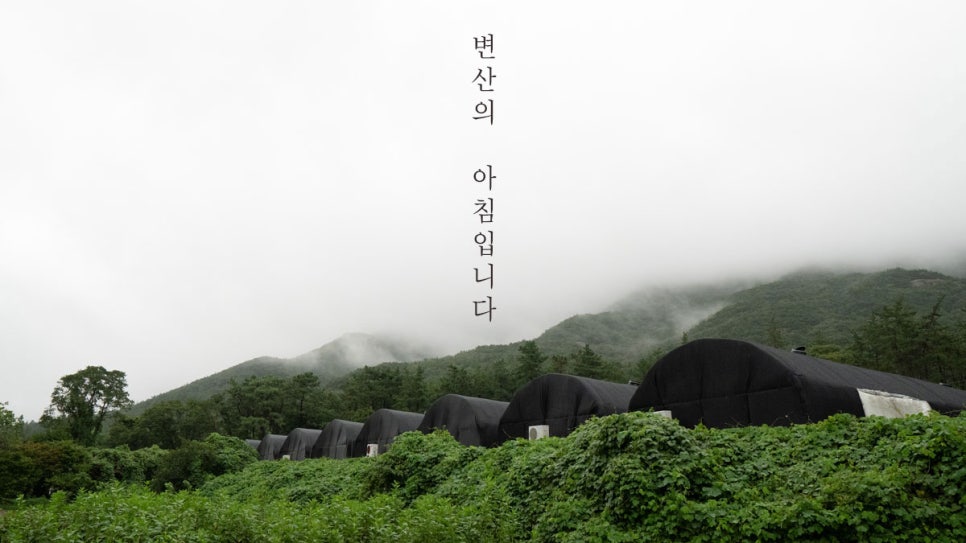 버섯놀이터변산농장 이미지