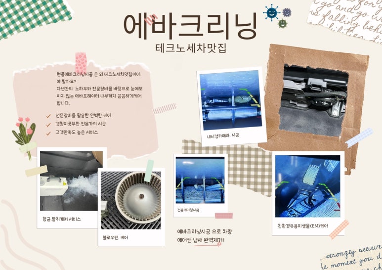 바로테크노세차 이미지