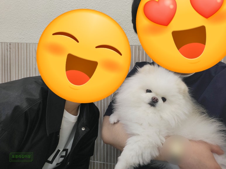 서초바른내과 이미지