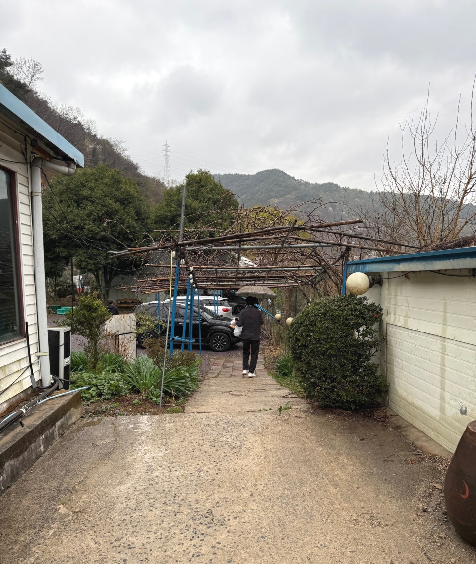 엄마손팥죽 이미지