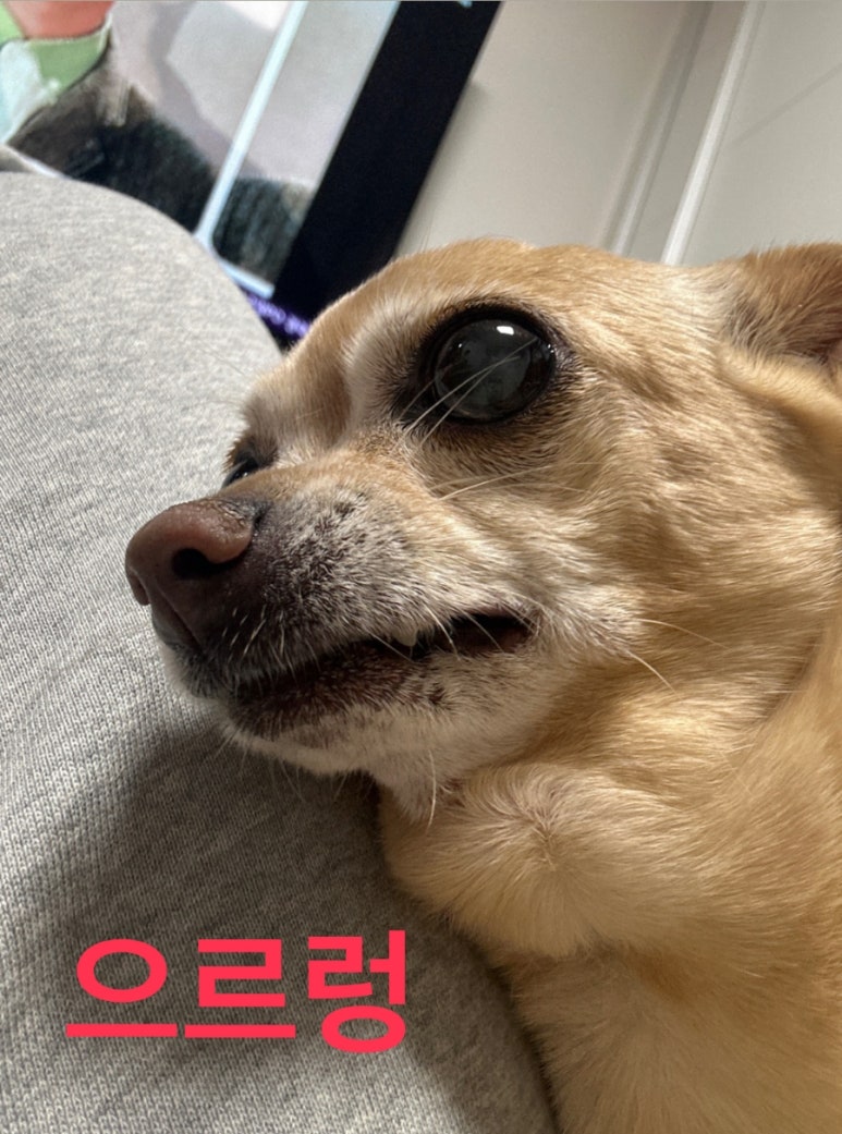 디지탈시스템 이미지