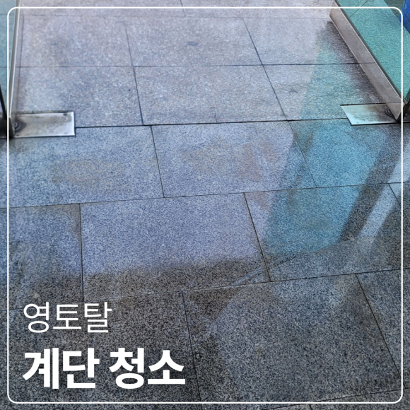영토탈 이미지