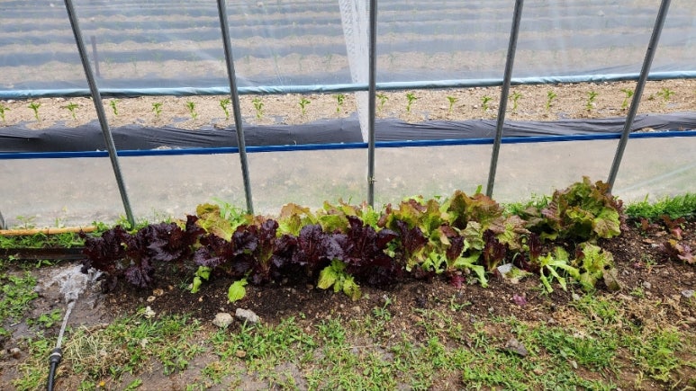 사과밭펜션 이미지