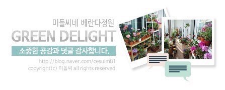 혜림식당 이미지